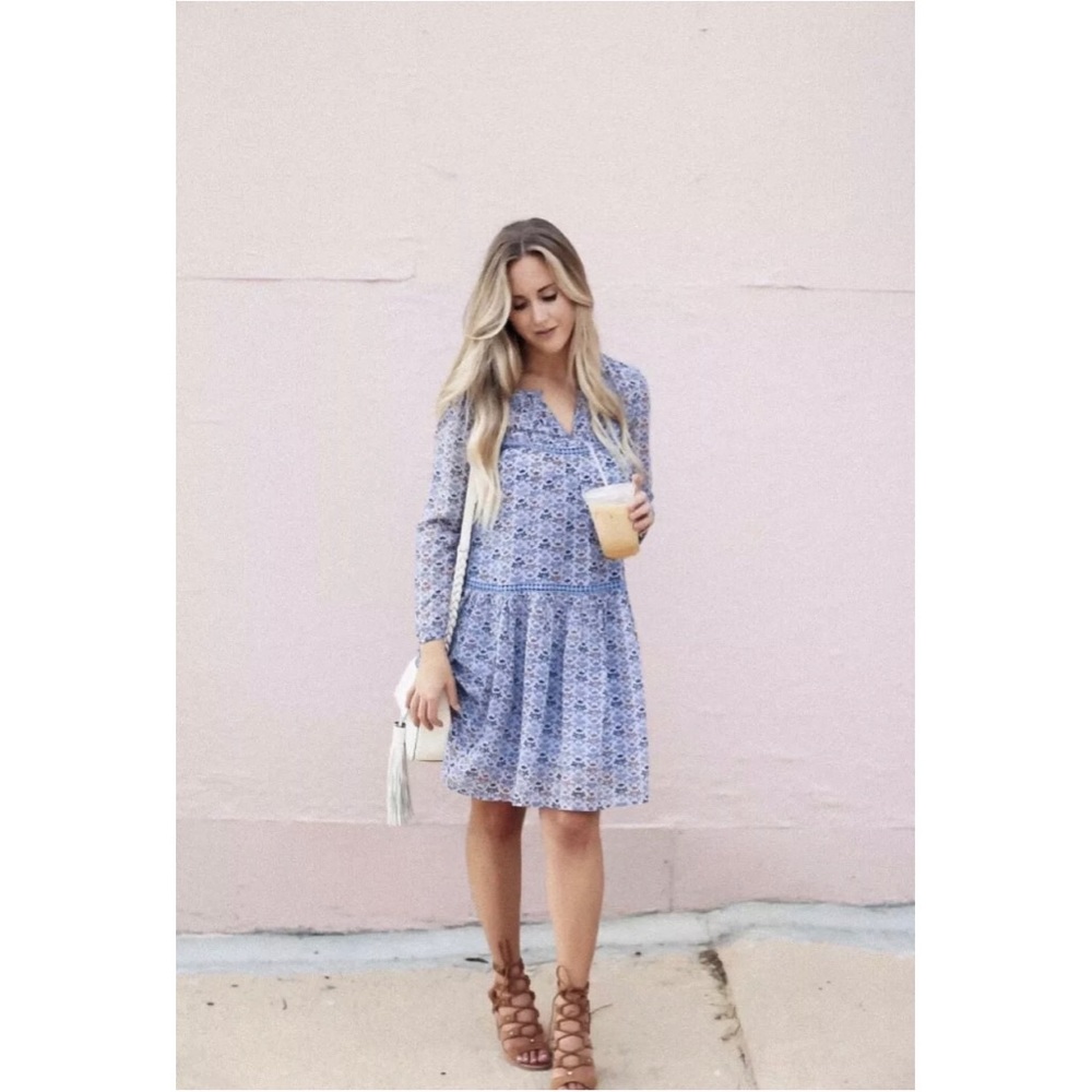 NWT Anthropologie Holding Horses Betony Swing Dress